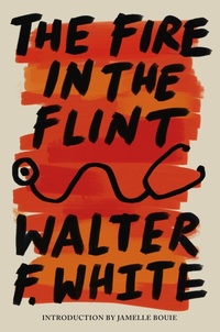 Enlarge image Cover: The Fire in the Flint - Union Square & Co.