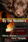 Cover: By The Numbers - ChrisOwenBooks