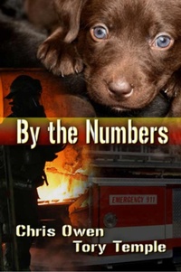 Enlarge image Cover: By The Numbers - ChrisOwenBooks