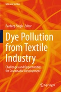 Cover: Dye Pollution from Textile Industry - Springer