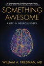 Cover: Something Awesome - Radius Book Group