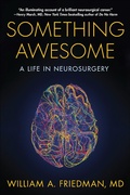Cover: Something Awesome - Radius Book Group