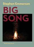 Cover: Big Song - Broken Sleep Books
