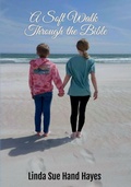 Cover: A Soft Walk Through the Bible - Hoot Books