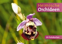 Abbildung von: Heimische Orchideen - Quelle & Meyer