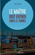Cover: Le ma&icirc;tre doit entrer dans le tunnel - Editions L'Harmattan