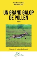 Cover: Un grand galop de pollen - Editions L'Harmattan