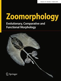 Abbildung von: Zoomorphology - Springer