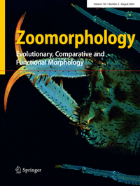 Abbildung von: Zoomorphology - Springer