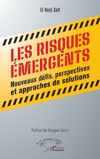 Enlarge image Cover: Les risques émergents - Editions L'Harmattan
