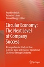 Cover: Circular Economy: The Next Level of Company Success - Springer