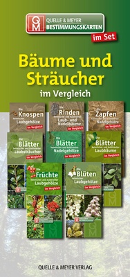 Abbildung von: Bestimmungskarten-Set "Bäume und Sträucher" - Quelle & Meyer
