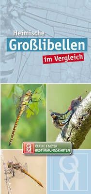 Abbildung von: Heimische Großlibellen im Vergleich - Quelle & Meyer