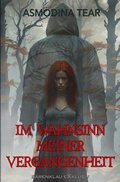 Cover: Im Wahnsinn meiner Vergangenheit - epubli