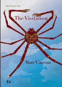 Enlarge image Cover: The Visitation - Survision Books