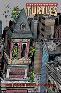 Cover: Teenage Mutant Ninja Turtles: The Mirage Years (1993-1995) - Idea & Design Works