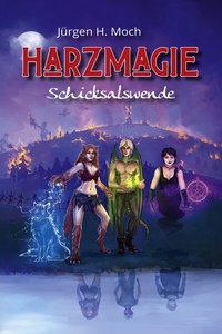 Abbildung von: Harzmagie - Elektronik-Praktiker