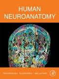 Abbildung von: Human Neuroanatomy - Academic Press