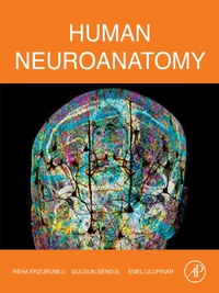Abbildung von: Human Neuroanatomy - Academic Press