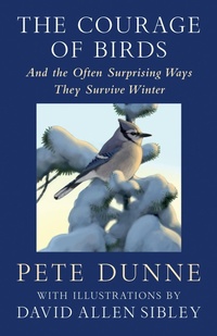 Abbildung von: The Courage of Birds - Rizzoli