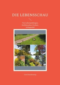 Abbildung von: Die Lebensschau - BoD - Books on Demand