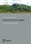 Cover: Negotiating Tenure Rights - Nomos