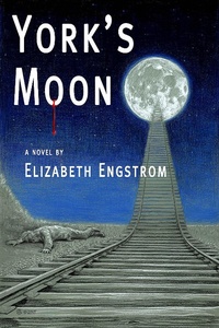 Enlarge image Cover: York's Moon - IFDPublishing