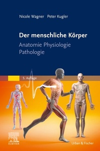 Abbildung von: Der menschliche Körper - Urban & Fischer