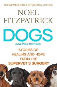 Enlarge image Cover: Dogs and Their Humans - Gallery