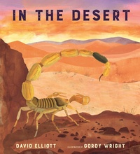 Abbildung von: In the Desert - Candlewick Press,U.S.