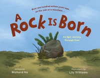 Enlarge image Cover: A Rock Is Born - Roaring Brook Press