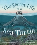 Cover: The Secret Life of a Sea Turtle - St Martin's Press