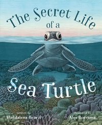 Enlarge image Cover: The Secret Life of a Sea Turtle - St Martin's Press