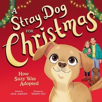 Abbildung von: A Stray Dog for Christmas - Sourcebooks Explore