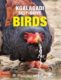 Abbildung von: Kgalagadi Self-Drive Birds - HPH Publishing