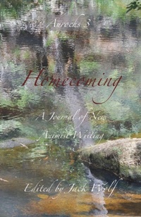 Enlarge image Cover: Homecoming 3 - Aurochs Underground Press