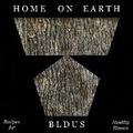 Cover: Home on Earth - Oro Editions