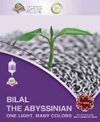Abbildung von: Bilal The Abyssinian - One Light, Many Colors - Osoul Center - ???? ????