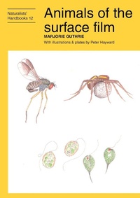 Abbildung von: Animals of the surface film - Pelagic Publishing