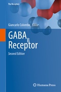 Abbildung von: GABAB Receptor - Humana