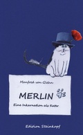 Cover: Merlin - Lutherische V.-G.