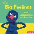 Cover: Big Feelings - Lerner Publishing Group