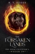 Cover: The Forsaken Lands - Sarah Thiede