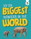 Cover: Top Ten Biggest Wonders in the World - Hungry Tomato