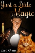 Cover: Just a Little Magic - JMS Books LLC