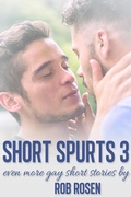 Cover: Short Spurts 3 - JMS Books LLC