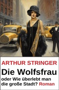 Cover: Die Wolfsfrau oder Wie &uuml;berlebt man die gro&szlig;e Stadt? Roman - Uksak E-Books
