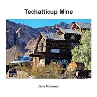 Abbildung von: Techatticup Mine - Jane Moorman