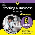 Cover: Starting a Business All-In-One for Dummies - Tantor Audio