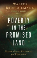 Cover: Poverty in the Promised Land - Fortress Press